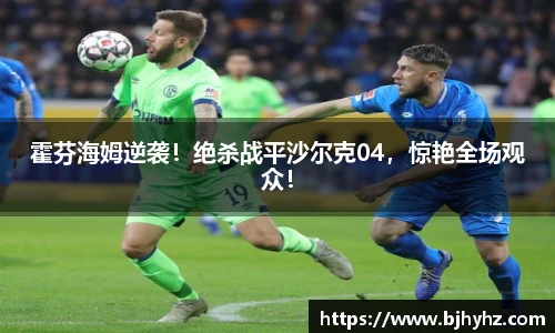 霍芬海姆逆袭！绝杀战平沙尔克04，惊艳全场观众！